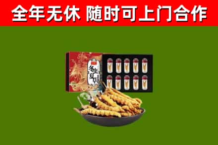 雅江县回收冬虫夏草价格